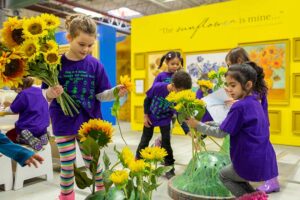 kids playing with sunflowers