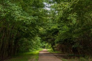 The Yahoo River Trail Park.